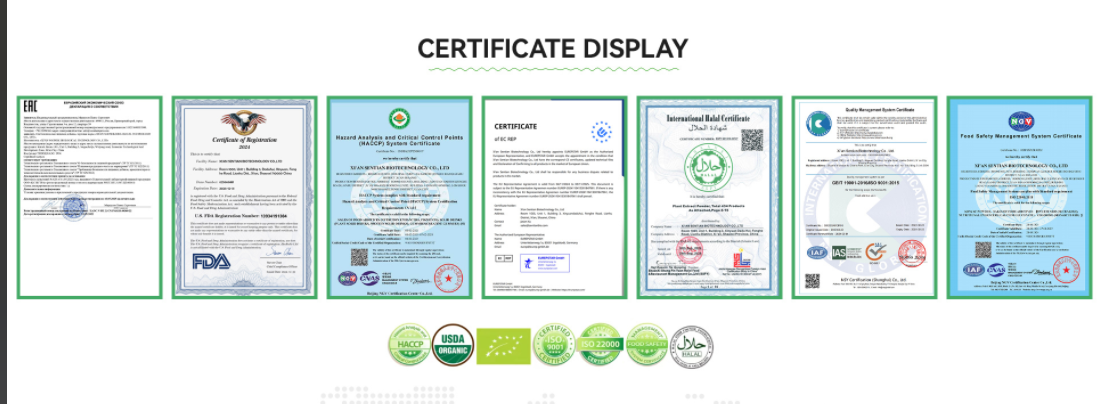 20250317153635 20250317153635